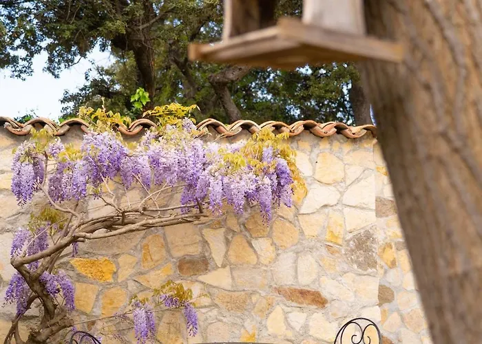 Maison D'exception A Proche De La * ساناري سور مير